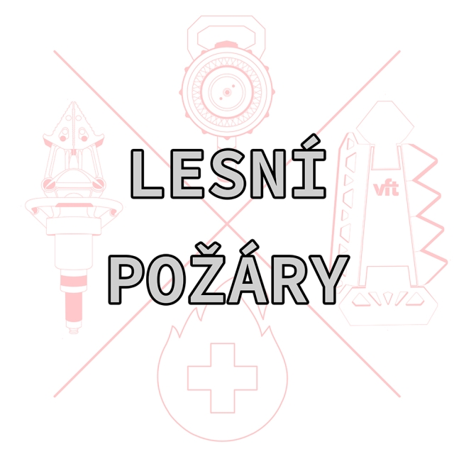 Workshop: Lesní požáry