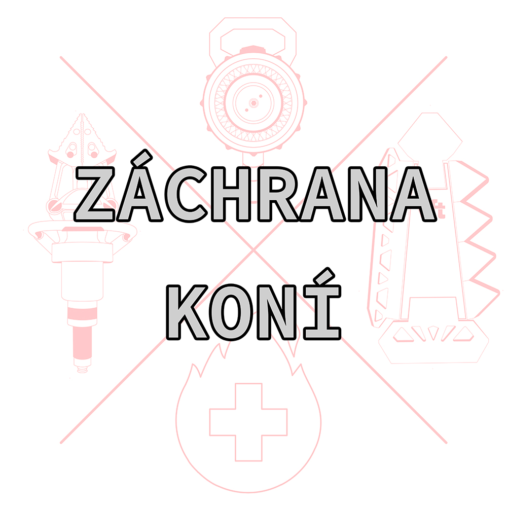 Workshop: Záchrana koní